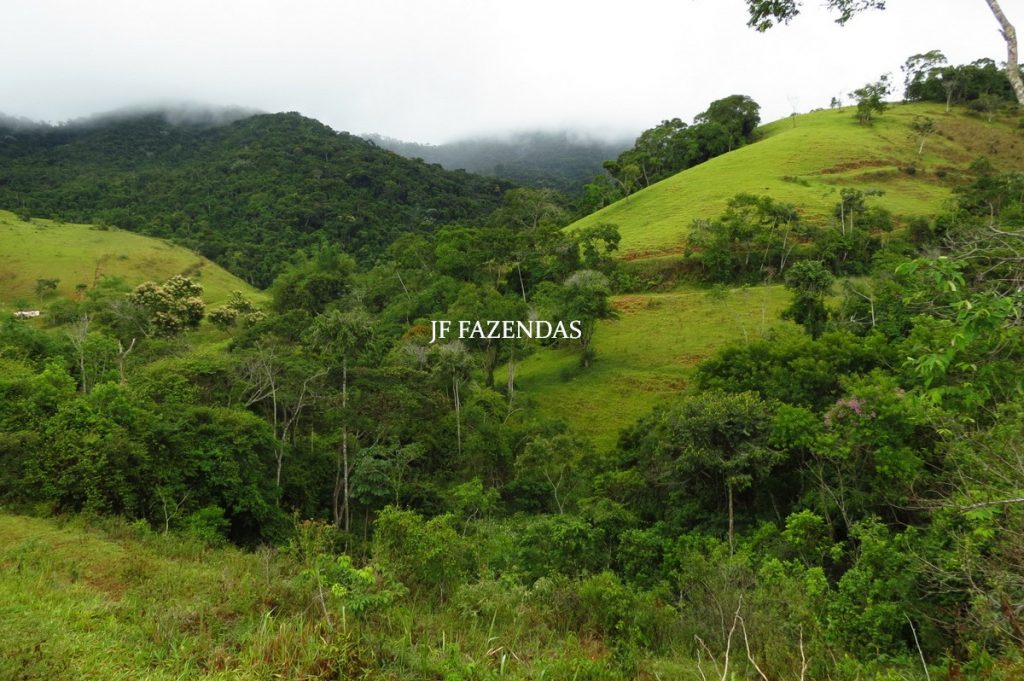 Fazenda em Maripá de Minas-MG – 206 hectares. Fazenda em Maripá de Minas-MG – 206 hectares.