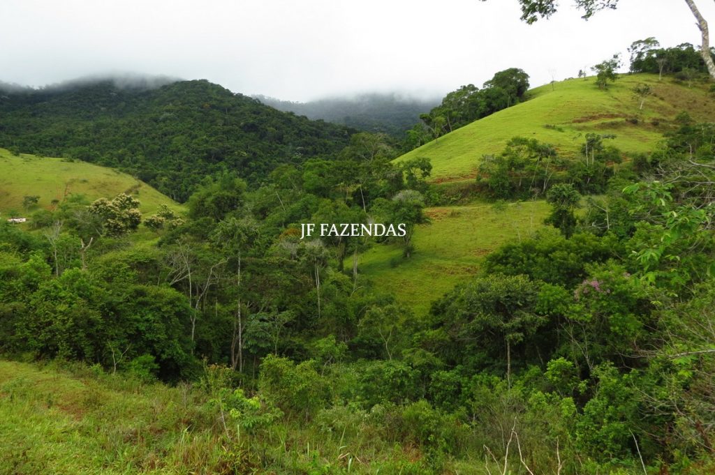 Fazenda em Maripá de Minas-MG – 206 hectares. Fazenda em Maripá de Minas-MG – 206 hectares.