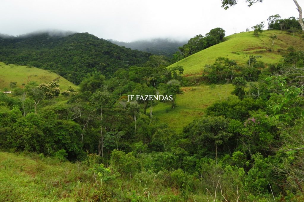 Fazenda em Maripá de Minas-MG – 206 hectares. Fazenda em Maripá de Minas-MG – 206 hectares.