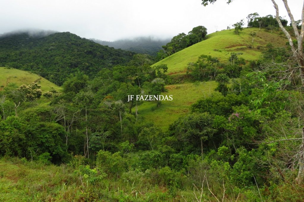 Fazenda em Maripá de Minas-MG – 206 hectares. Fazenda em Maripá de Minas-MG – 206 hectares.