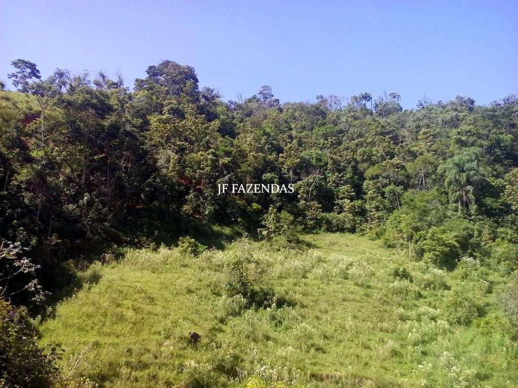 Fazenda em São João Nepomuceno – MG – 75 hectares Fazenda em São João Nepomuceno – MG – 75 hectares