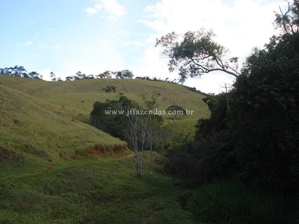 Fazenda em Santa Barbara do Monte Verde – MG – 114,2 hectares Fazenda em Santa Barbara do Monte Verde – MG – 114,2 hectares