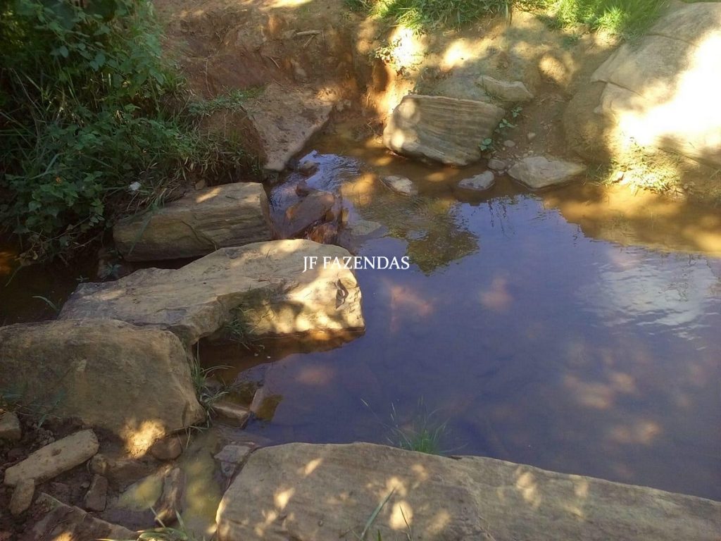 Fazenda em São João Nepomuceno – MG – 75 hectares Fazenda em São João Nepomuceno – MG – 75 hectares
