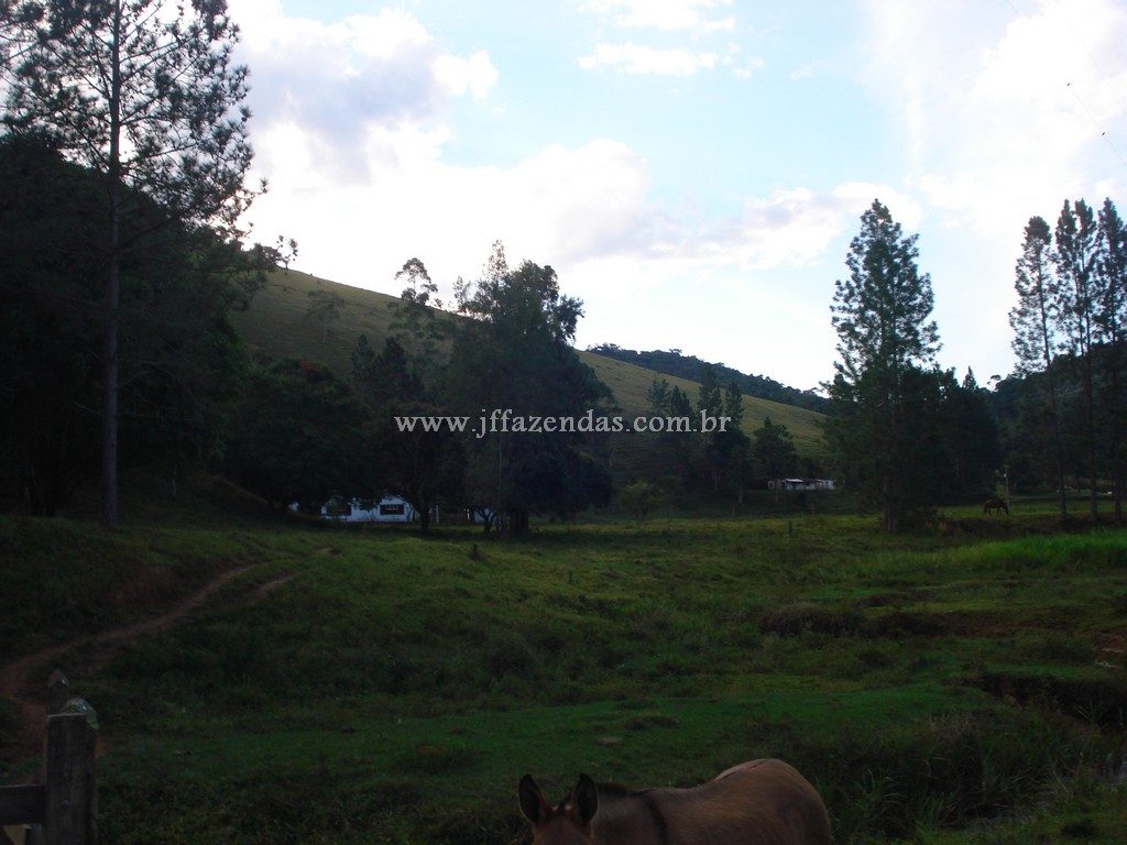 Fazenda em Santa Barbara do Monte Verde – MG – 114,2 hectares Fazenda em Santa Barbara do Monte Verde – MG – 114,2 hectares