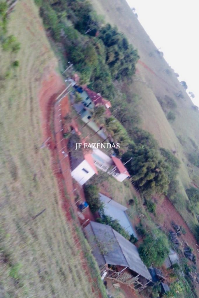 Sitio em São João Nepomuceno – MG – 12 hectares Sitio em São João Nepomuceno – MG – 12 hectares