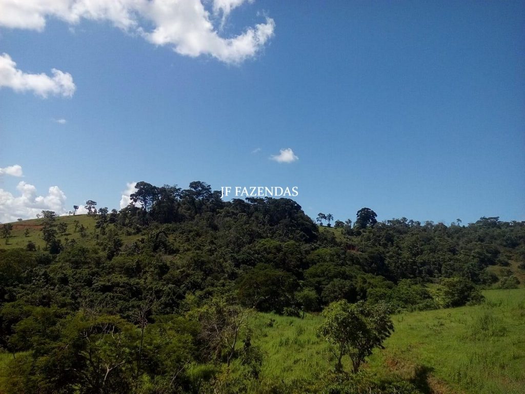 Fazenda em São João Nepomuceno – MG – 75 hectares Fazenda em São João Nepomuceno – MG – 75 hectares