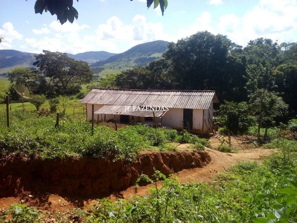 Fazenda em São João Nepomuceno – MG – 75 hectares Fazenda em São João Nepomuceno – MG – 75 hectares