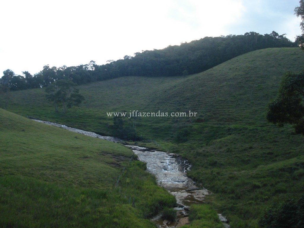 Fazenda em Santa Barbara do Monte Verde – MG – 114,2 hectares Fazenda em Santa Barbara do Monte Verde – MG – 114,2 hectares