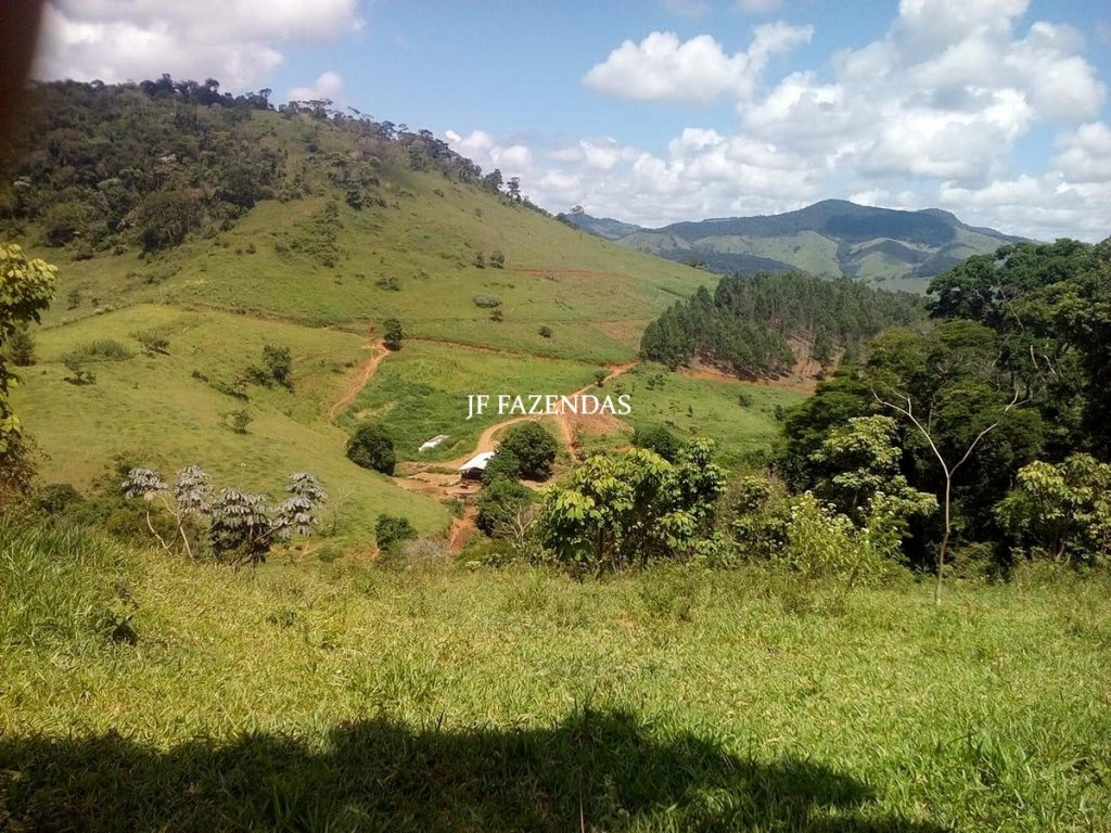 Fazenda em São João Nepomuceno – MG – 75 hectares Fazenda em São João Nepomuceno – MG – 75 hectares