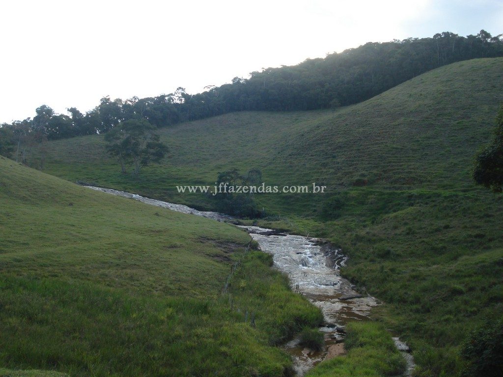 Fazenda em Santa Barbara do Monte Verde – MG – 114,2 hectares Fazenda em Santa Barbara do Monte Verde – MG – 114,2 hectares