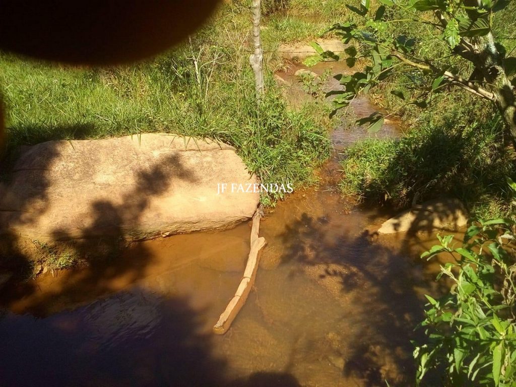 Fazenda em São João Nepomuceno – MG – 75 hectares Fazenda em São João Nepomuceno – MG – 75 hectares