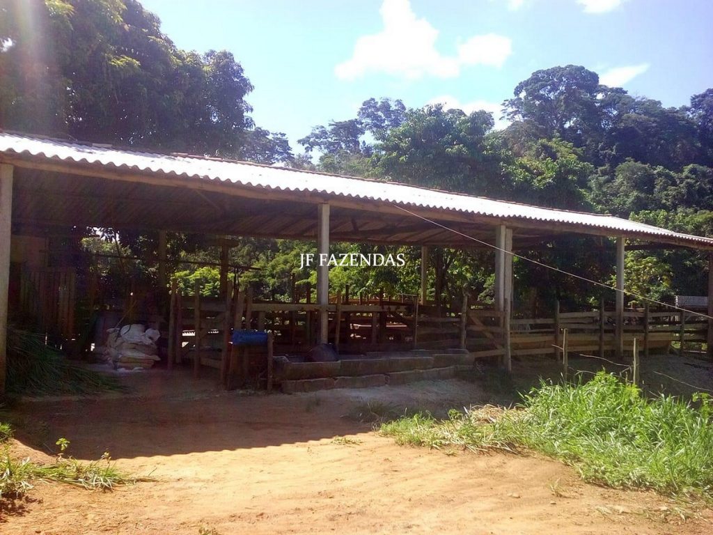 Fazenda em São João Nepomuceno – MG – 75 hectares Fazenda em São João Nepomuceno – MG – 75 hectares
