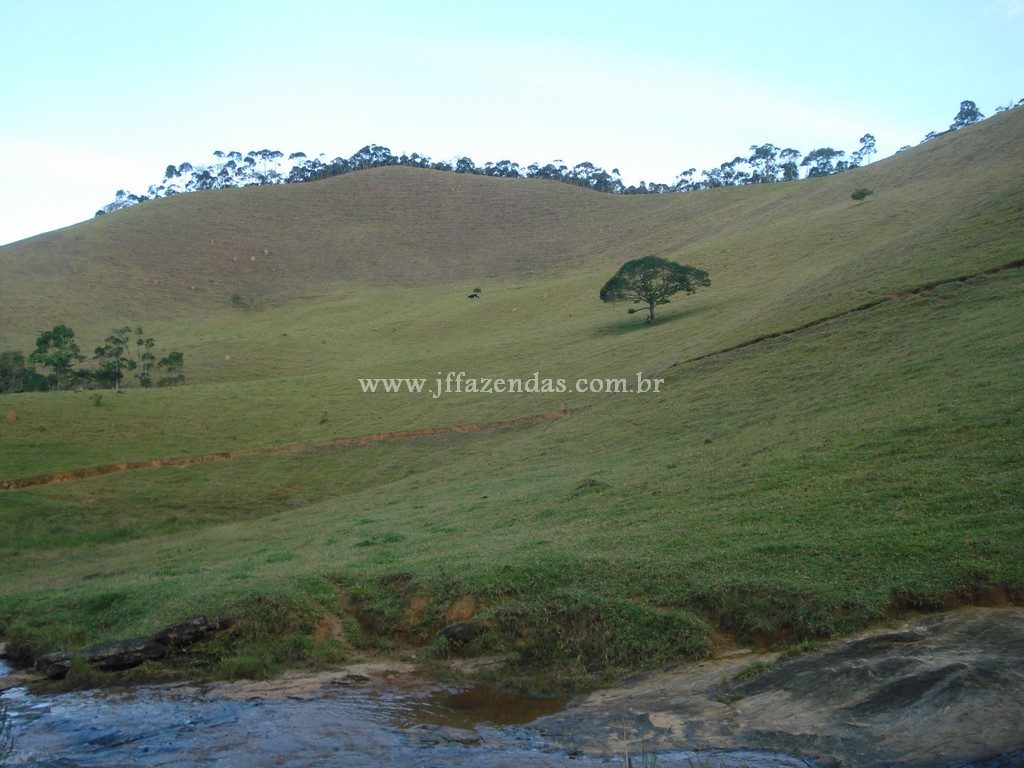 Fazenda em Santa Barbara do Monte Verde – MG – 114,2 hectares Fazenda em Santa Barbara do Monte Verde – MG – 114,2 hectares