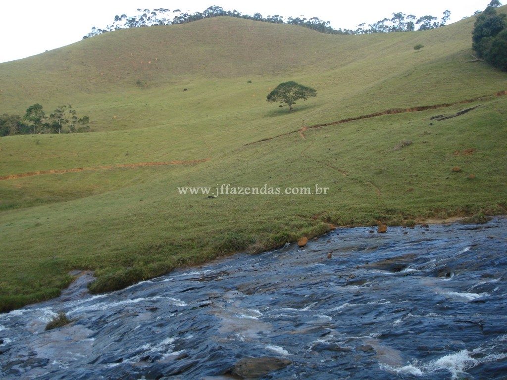 Fazenda em Santa Barbara do Monte Verde – MG – 114,2 hectares Fazenda em Santa Barbara do Monte Verde – MG – 114,2 hectares