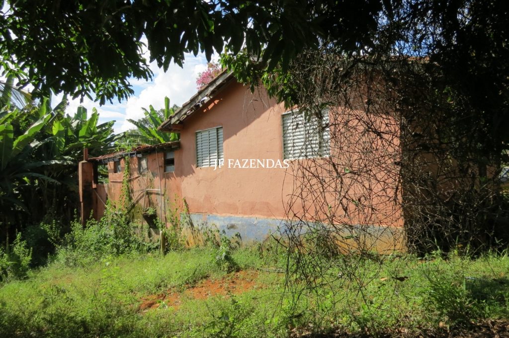 Fazenda em São João Nepomuceno – MG – 75 hectares Fazenda em São João Nepomuceno – MG – 75 hectares