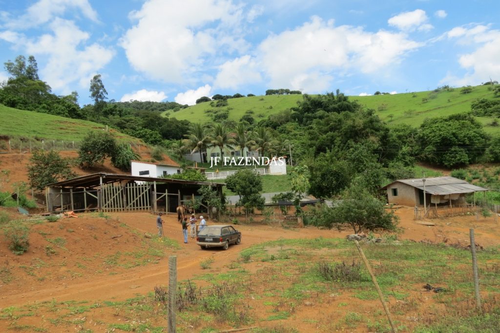 Sitio em São João Nepomuceno – MG – 12 hectares Sitio em São João Nepomuceno – MG – 12 hectares