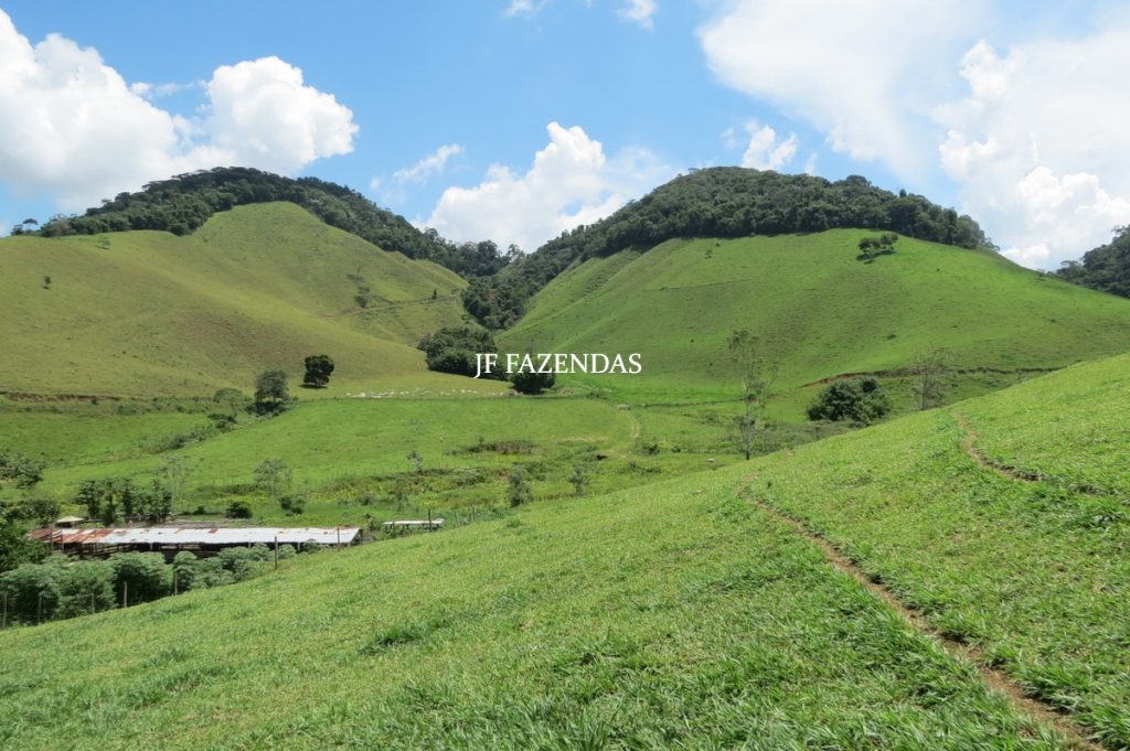 Fazenda em Juiz de Fora -MG – 166 hectares