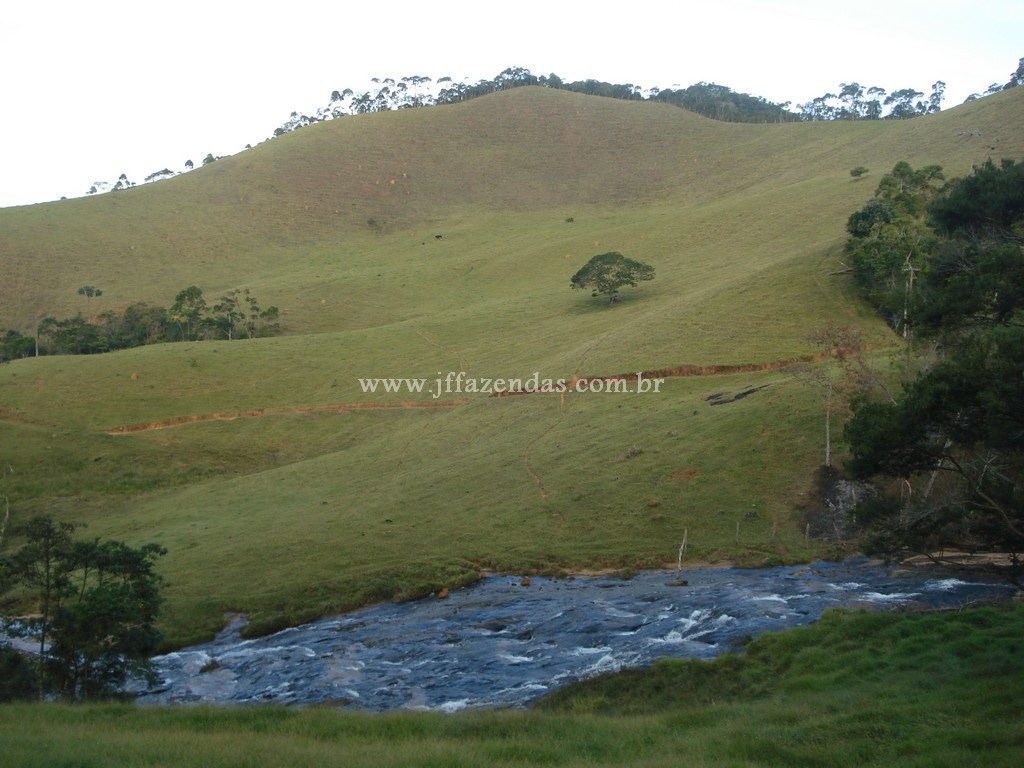 Fazenda em Santa Barbara do Monte Verde – MG – 114,2 hectares Fazenda em Santa Barbara do Monte Verde – MG – 114,2 hectares