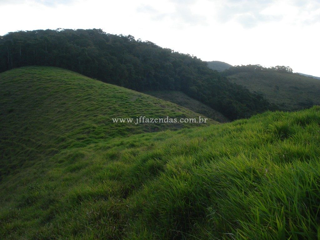 Fazenda em Santa Barbara do Monte Verde – MG – 114,2 hectares Fazenda em Santa Barbara do Monte Verde – MG – 114,2 hectares