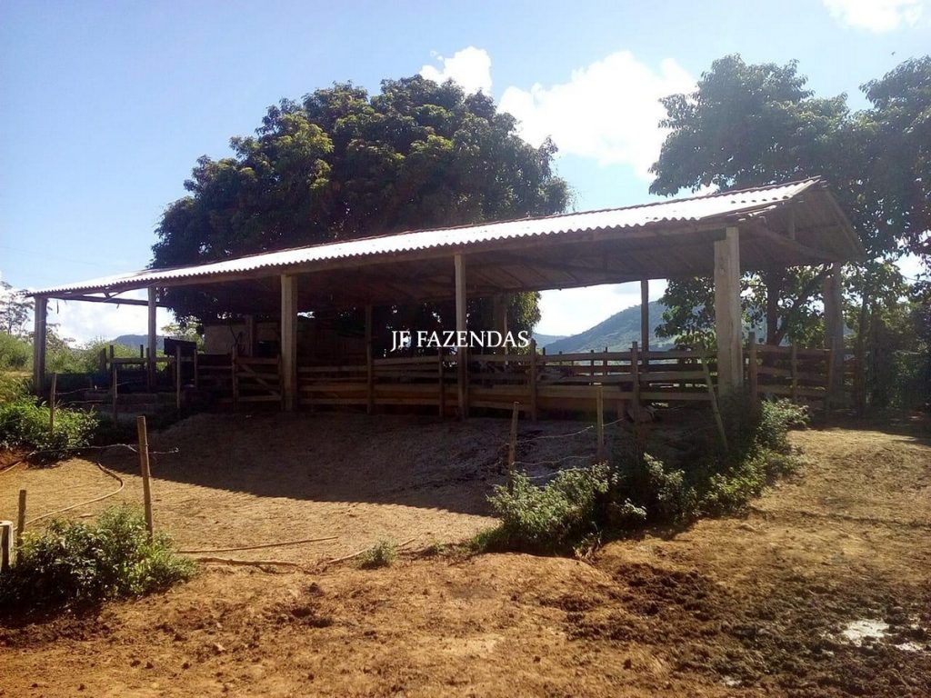 Fazenda em São João Nepomuceno – MG – 75 hectares Fazenda em São João Nepomuceno – MG – 75 hectares