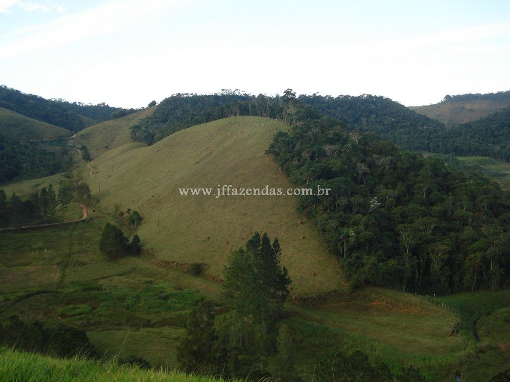 Fazenda em Santa Barbara do Monte Verde – MG – 114,2 hectares Fazenda em Santa Barbara do Monte Verde – MG – 114,2 hectares