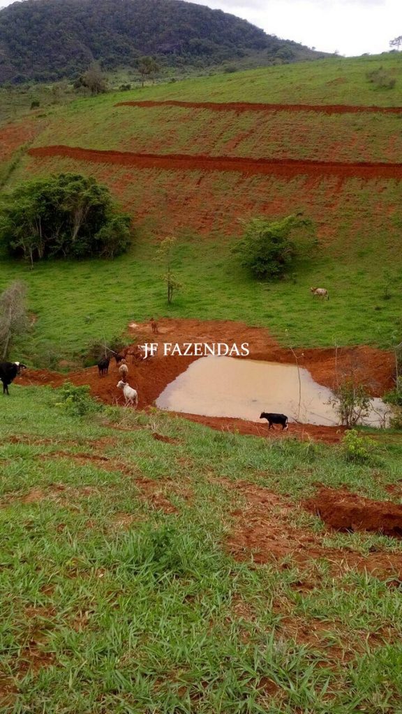 Fazenda em São João Nepomuceno – MG – 75 hectares Fazenda em São João Nepomuceno – MG – 75 hectares