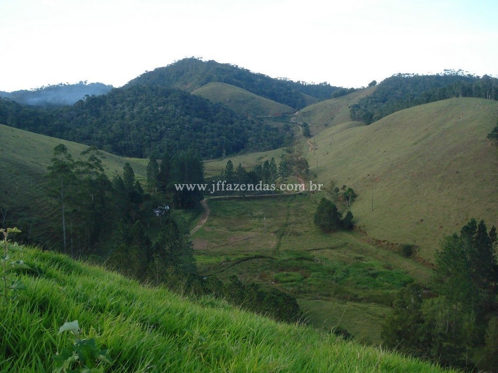 Fazenda em Santa Barbara do Monte Verde – MG – 114,2 hectares Fazenda em Santa Barbara do Monte Verde – MG – 114,2 hectares