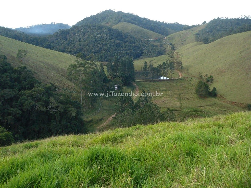 Fazenda em Santa Barbara do Monte Verde – MG – 114,2 hectares Fazenda em Santa Barbara do Monte Verde – MG – 114,2 hectares