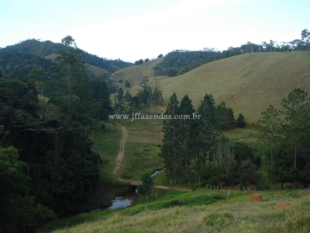 Fazenda em Santa Barbara do Monte Verde – MG – 114,2 hectares Fazenda em Santa Barbara do Monte Verde – MG – 114,2 hectares