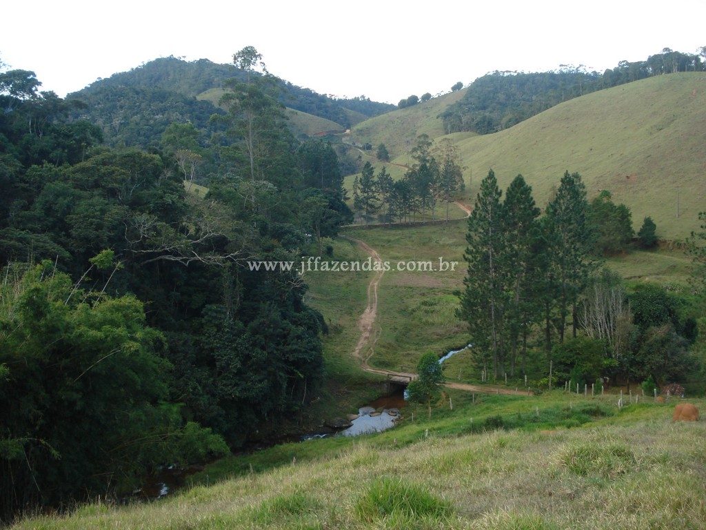 Fazenda em Santa Barbara do Monte Verde – MG – 114,2 hectares Fazenda em Santa Barbara do Monte Verde – MG – 114,2 hectares