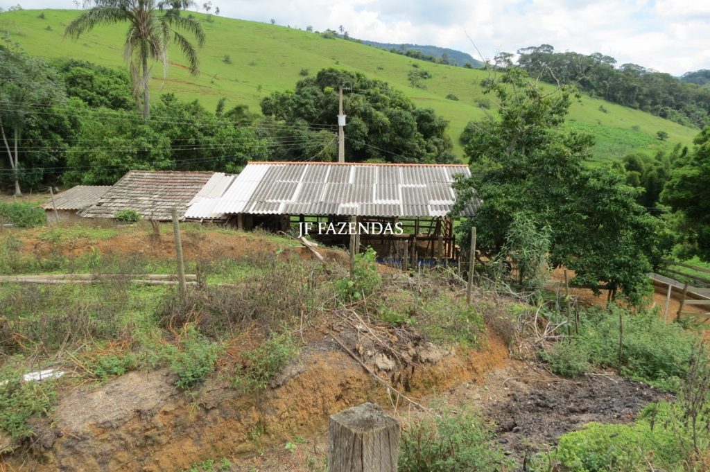 Sitio em São João Nepomuceno – MG – 12 hectares Sitio em São João Nepomuceno – MG – 12 hectares