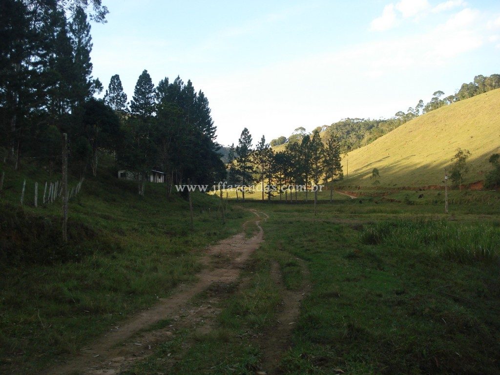 Fazenda em Santa Barbara do Monte Verde – MG – 114,2 hectares Fazenda em Santa Barbara do Monte Verde – MG – 114,2 hectares
