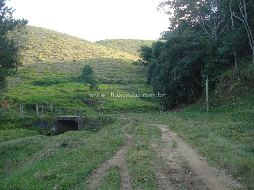 Fazenda em Santa Barbara do Monte Verde – MG – 114,2 hectares Fazenda em Santa Barbara do Monte Verde – MG – 114,2 hectares