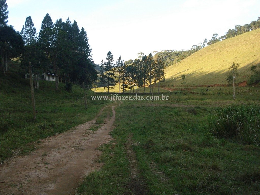 Fazenda em Santa Barbara do Monte Verde – MG – 114,2 hectares Fazenda em Santa Barbara do Monte Verde – MG – 114,2 hectares