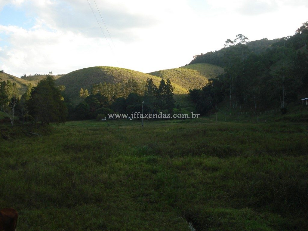 Fazenda em Santa Barbara do Monte Verde – MG – 114,2 hectares Fazenda em Santa Barbara do Monte Verde – MG – 114,2 hectares