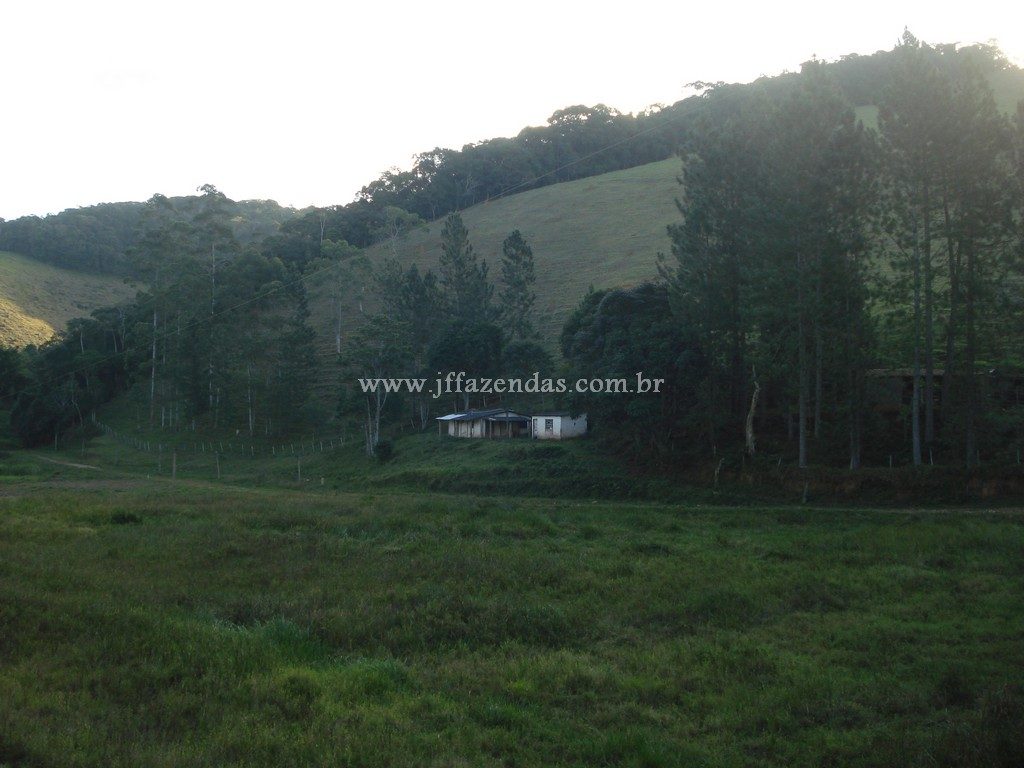 Fazenda em Santa Barbara do Monte Verde – MG – 114,2 hectares Fazenda em Santa Barbara do Monte Verde – MG – 114,2 hectares