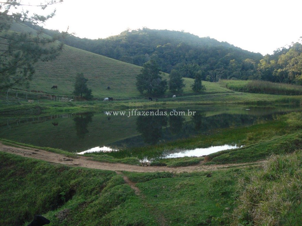 Fazenda em Santa Barbara do Monte Verde – MG – 114,2 hectares Fazenda em Santa Barbara do Monte Verde – MG – 114,2 hectares