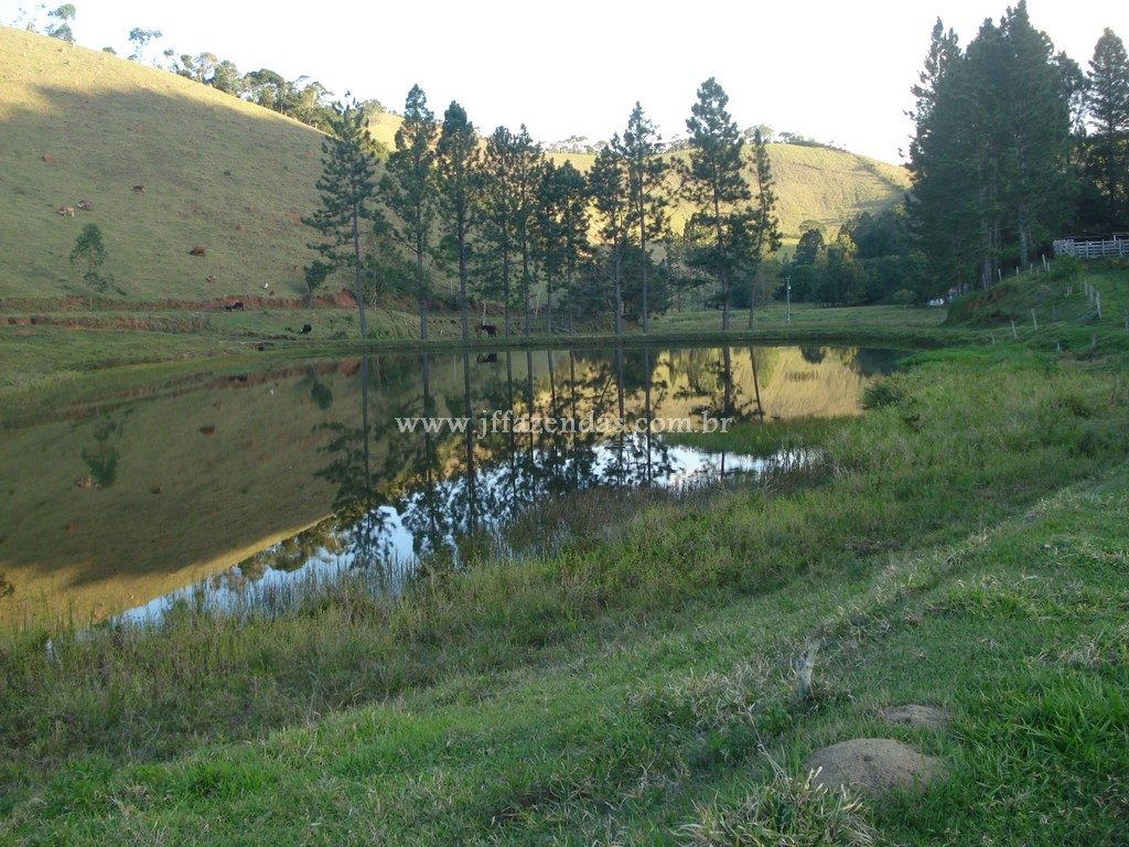 Fazenda em Santa Barbara do Monte Verde – MG – 114,2 hectares Fazenda em Santa Barbara do Monte Verde – MG – 114,2 hectares