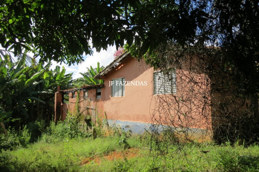 Fazenda em São João Nepomuceno – MG – 75 hectares Fazenda em São João Nepomuceno – MG – 75 hectares