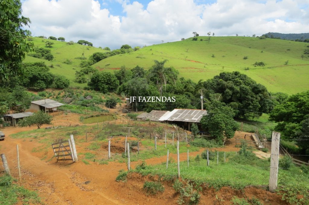 Sitio em São João Nepomuceno – MG – 12 hectares Sitio em São João Nepomuceno – MG – 12 hectares