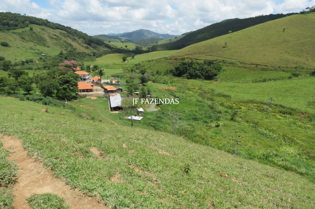 Fazenda em Juiz de Fora -MG – 166 hectares