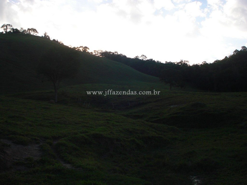 Fazenda em Santa Barbara do Monte Verde – MG – 114,2 hectares Fazenda em Santa Barbara do Monte Verde – MG – 114,2 hectares