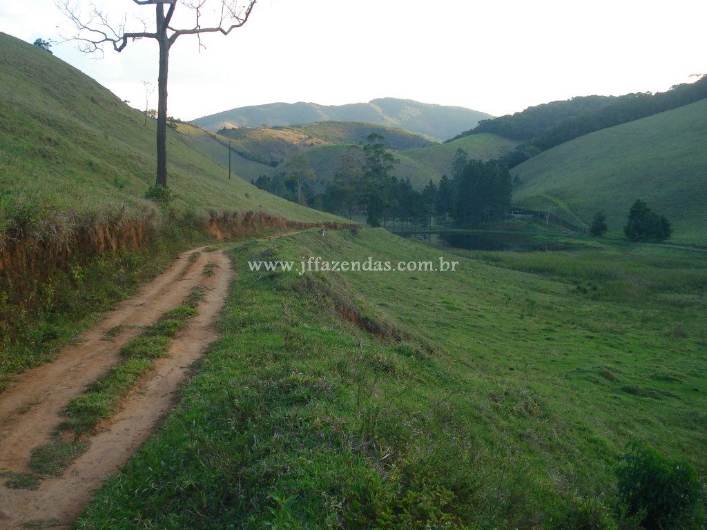 Fazenda em Santa Barbara do Monte Verde – MG – 114,2 hectares Fazenda em Santa Barbara do Monte Verde – MG – 114,2 hectares