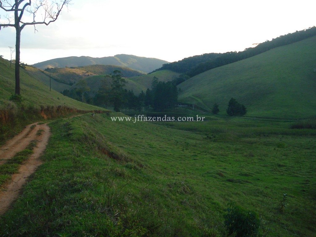 Fazenda em Santa Barbara do Monte Verde – MG – 114,2 hectares Fazenda em Santa Barbara do Monte Verde – MG – 114,2 hectares