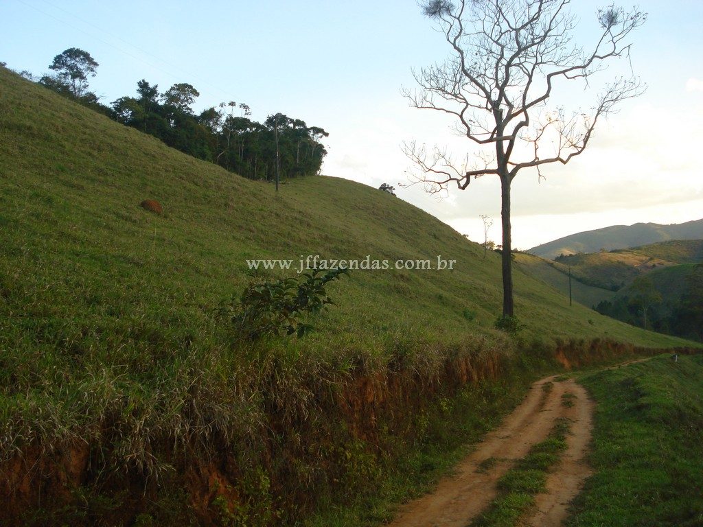 Fazenda em Santa Barbara do Monte Verde – MG – 114,2 hectares Fazenda em Santa Barbara do Monte Verde – MG – 114,2 hectares
