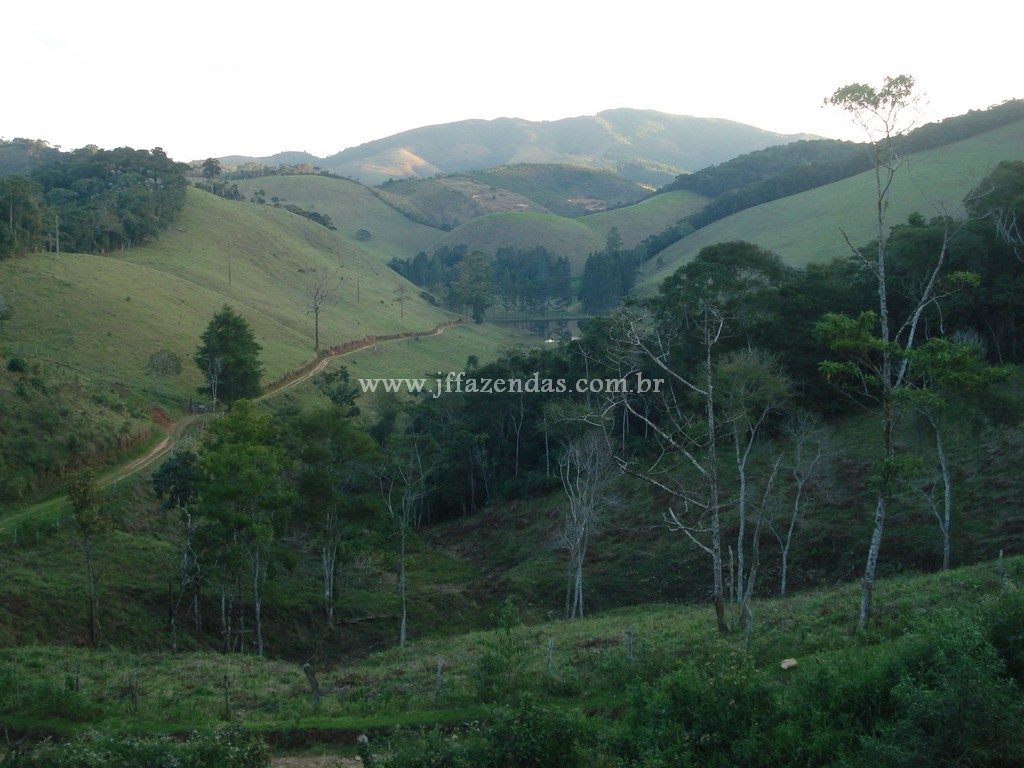 Fazenda em Santa Barbara do Monte Verde – MG – 114,2 hectares Fazenda em Santa Barbara do Monte Verde – MG – 114,2 hectares
