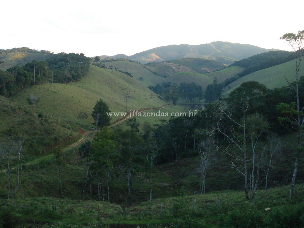Fazenda em Santa Barbara do Monte Verde – MG – 114,2 hectares Fazenda em Santa Barbara do Monte Verde – MG – 114,2 hectares