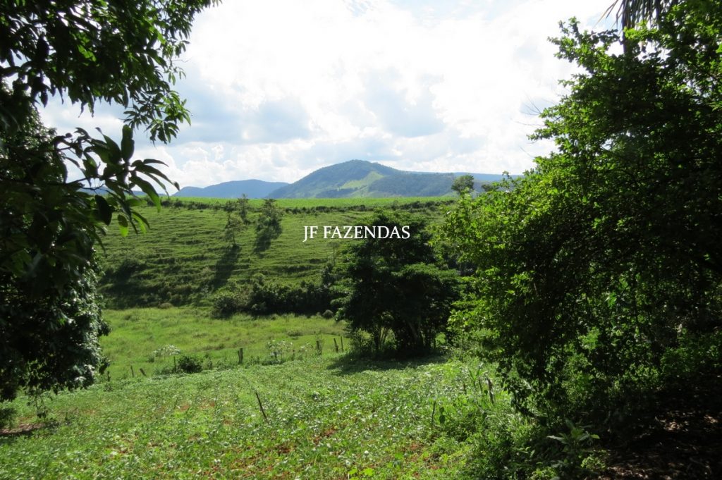 Fazenda em São João Nepomuceno – MG – 75 hectares Fazenda em São João Nepomuceno – MG – 75 hectares