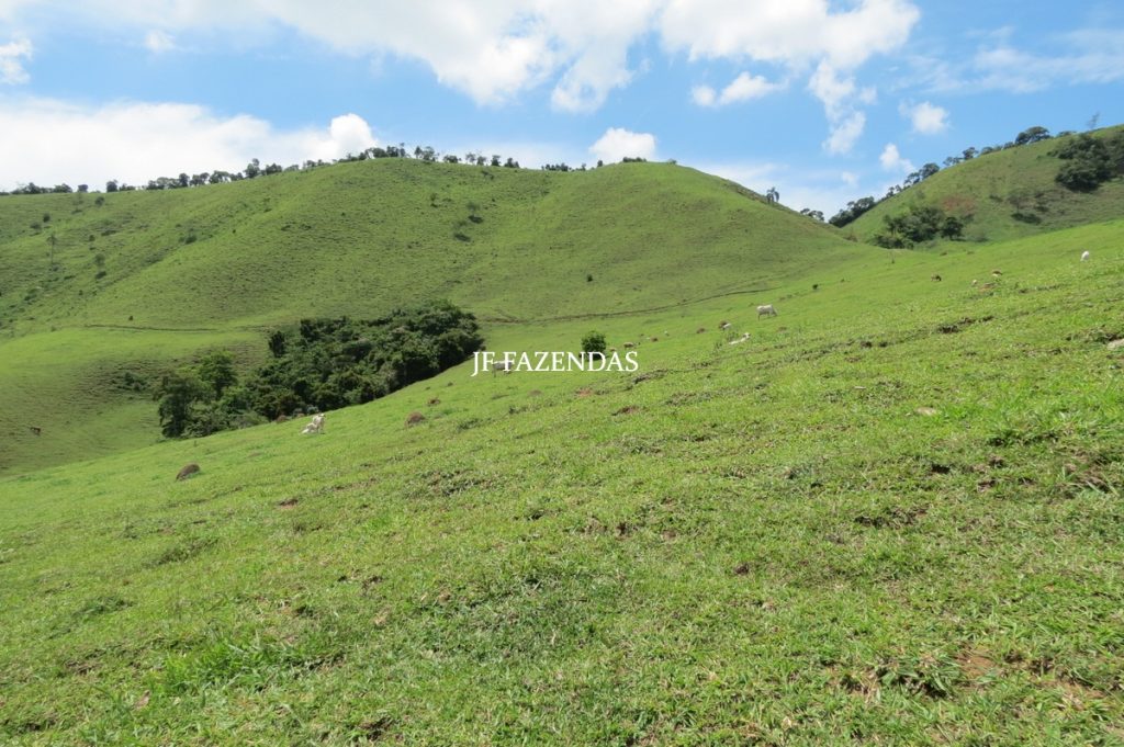 Fazenda em Juiz de Fora -MG – 166 hectares