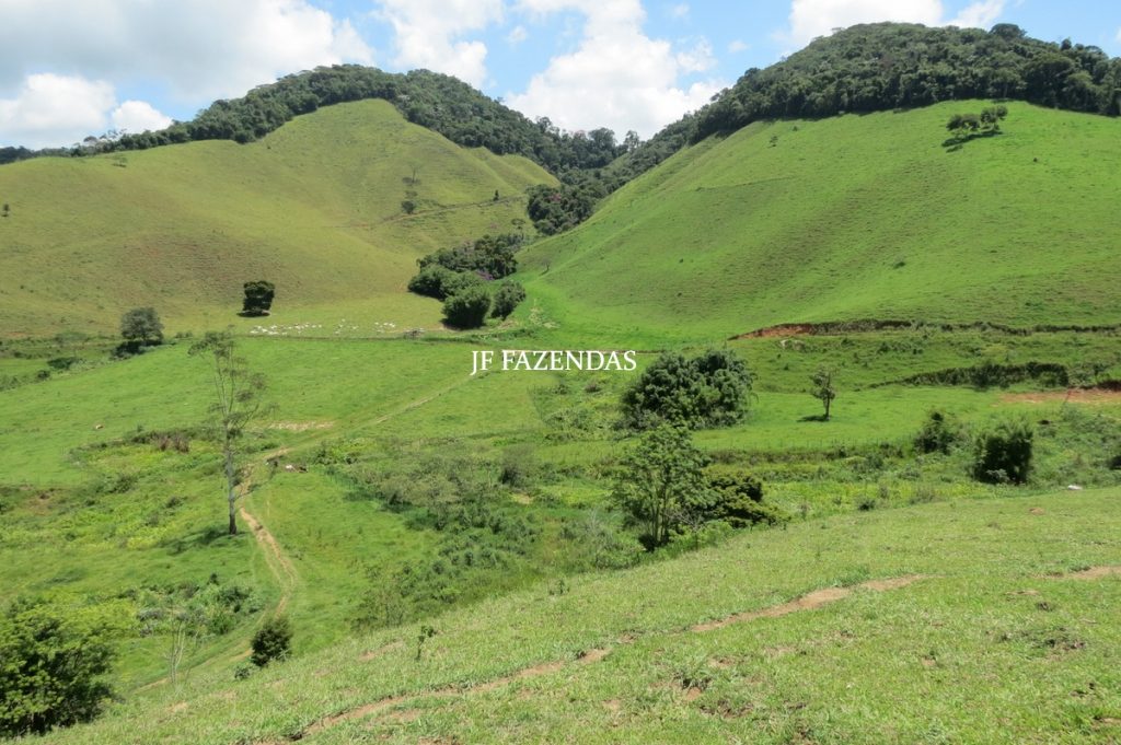 Fazenda em Juiz de Fora -MG – 166 hectares
